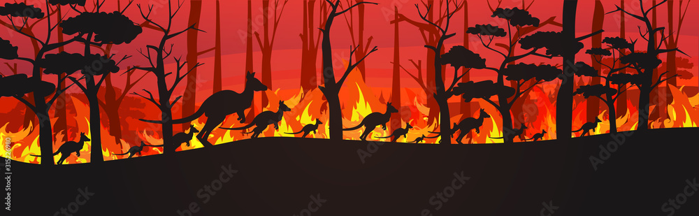 silhouettes of kangaroos running from forest fires in australia animals dying in wildfire bushfire burning trees natural disaster concept intense orange flames horizontal vector illustration - obrazy, fototapety, plakaty 