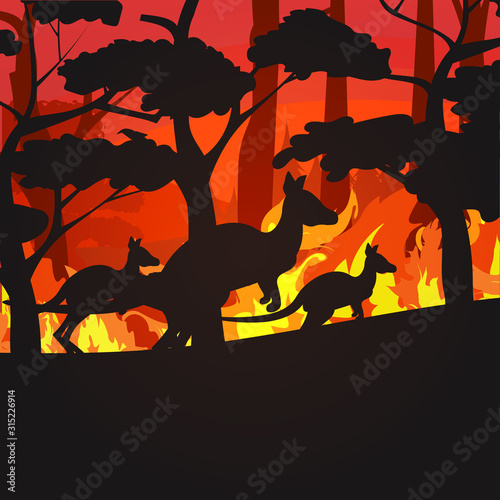 silhouettes of kangaroos running from forest fires in australia animals dying in wildfire bushfire burning trees natural disaster concept intense orange flames vector illustration