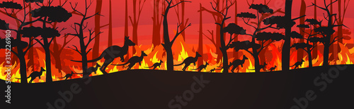 silhouettes of kangaroos running from forest fires in australia animals dying in wildfire bushfire burning trees natural disaster concept intense orange flames horizontal vector illustration