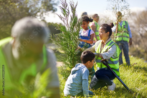 Woman and children volunteers planting tree in sunny park