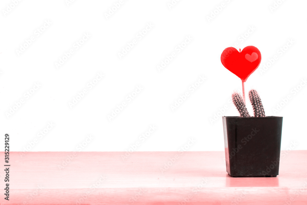 Heart shaped candle set in a cactus pot. Heart shaped candle set in a cactus pot.