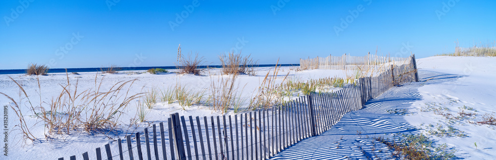Sea oats and fence along white sand beach at Santa Rosa Island near Pensacola, Florida