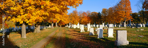 Tableau sur toile Cemetery in autumn at Brattleboro, Vermont