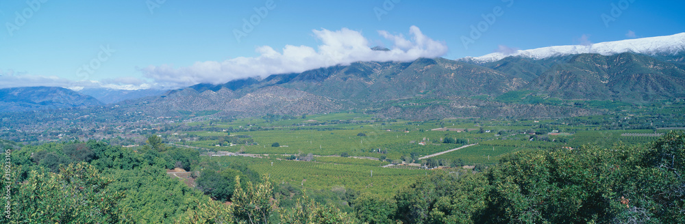 Orange groves and snowy mountains in the Ojai Valley, California
