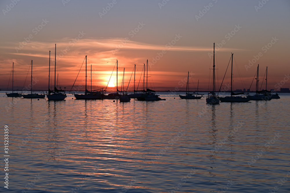 Sailboats anchored in Crandon Marina on Key Biscayne, Florida under colorful sky at sunset.