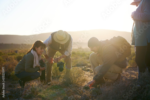 Safari tour group examining plants in sunny grassland South Africa photo