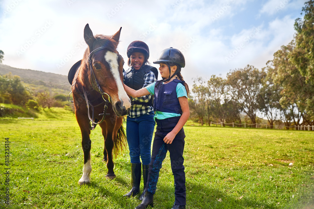 Girls petting horse in sunny rural grass paddock Girls petting horse in sunny rural grass paddock