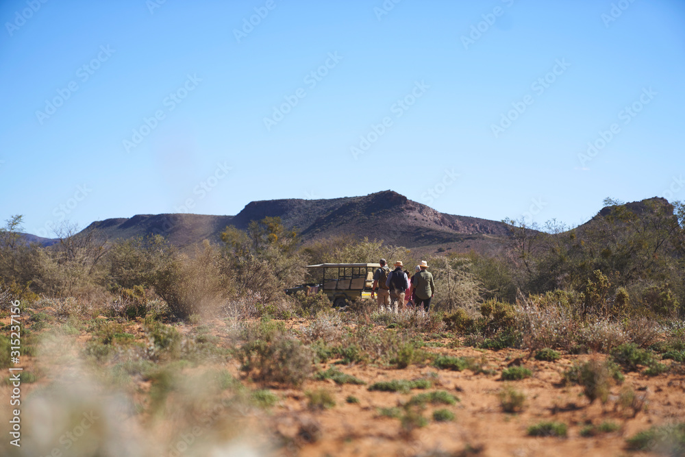 Safari tour group walking to off-road vehicle sunny wildlife reserve Safari tour group walking to off-road vehicle sunny wildlife reserve