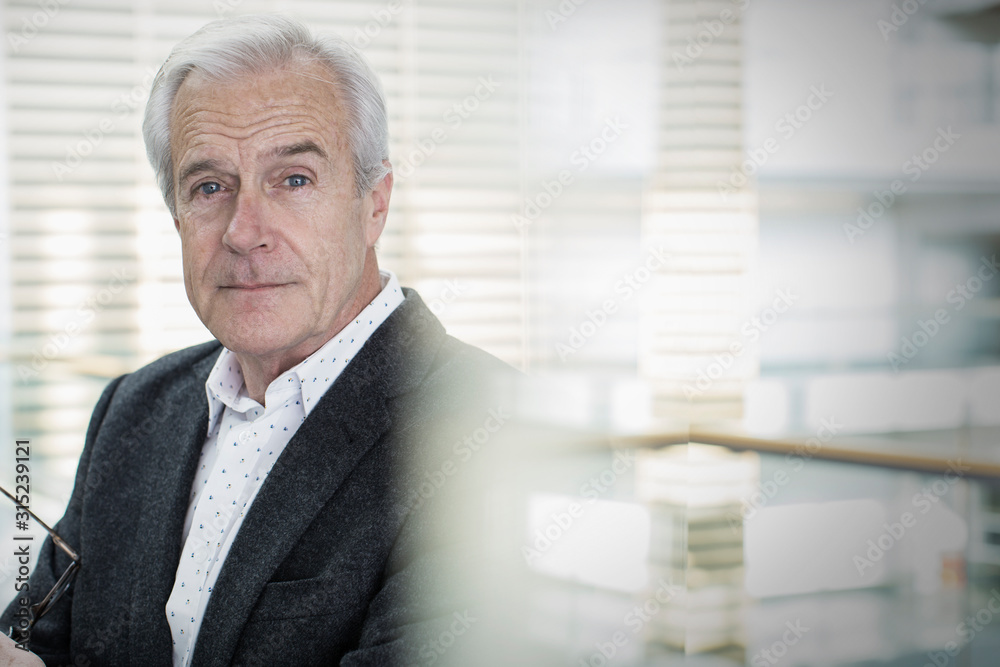 Portrait serious senior businessman Portrait serious senior businessman