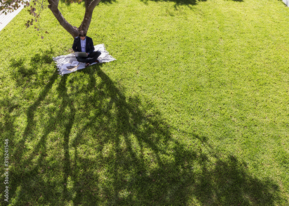 Businessman working, using laptop on blanket below tree in sunny yard Businessman working, using laptop on blanket below tree in sunny yard