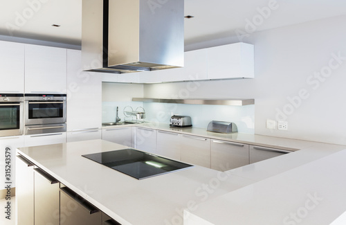 Modern, minimalist white home showcase kitchen photo