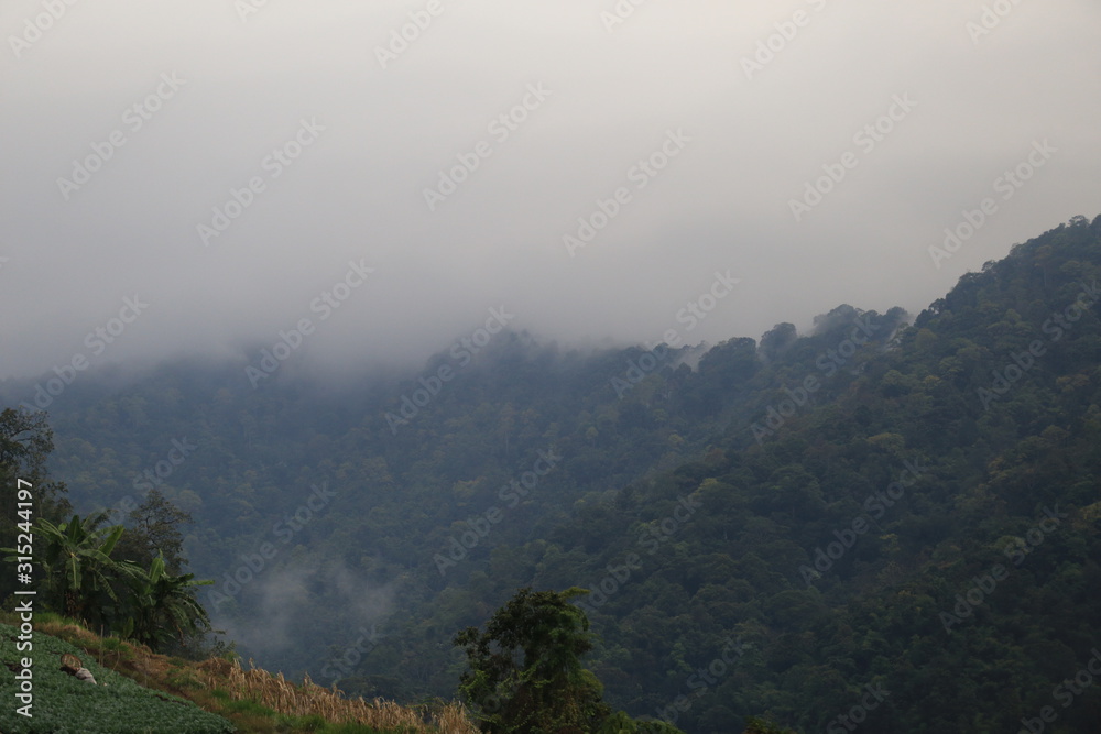 Obraz premium view in the mountains