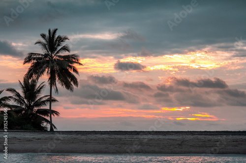 Fototapeta Naklejka Na Ścianę i Meble -  sunset palms 1