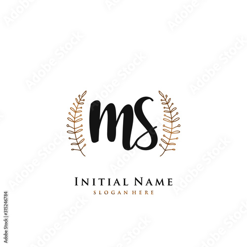 MS  Initial handwriting logo vector