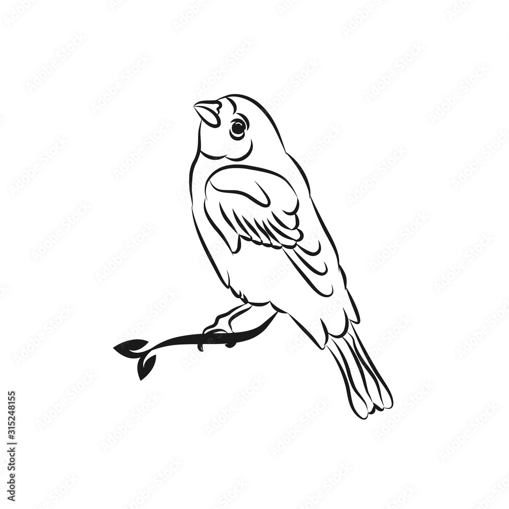 Fototapeta premium Vector line bird logo, pigeon silhouette, flying abstract logo, icon isolated.