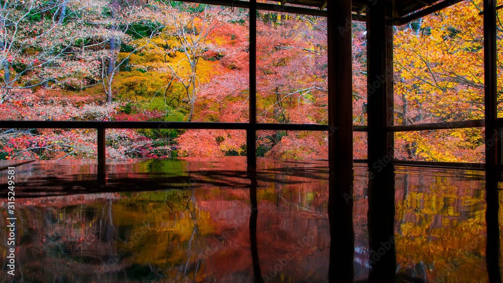 京都　美しい紅葉　②