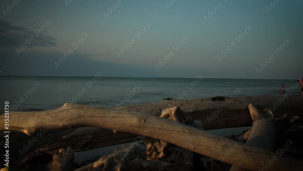 Video of Lake Erie during sunset with driftwood in the foreground and a drone flying around the lake while kids play off in the distance on the beach during the summer. Video of Lake Erie during sunset with driftwood in the foreground and a drone flying around the lake while kids play off in the distance on the beach during the summer.