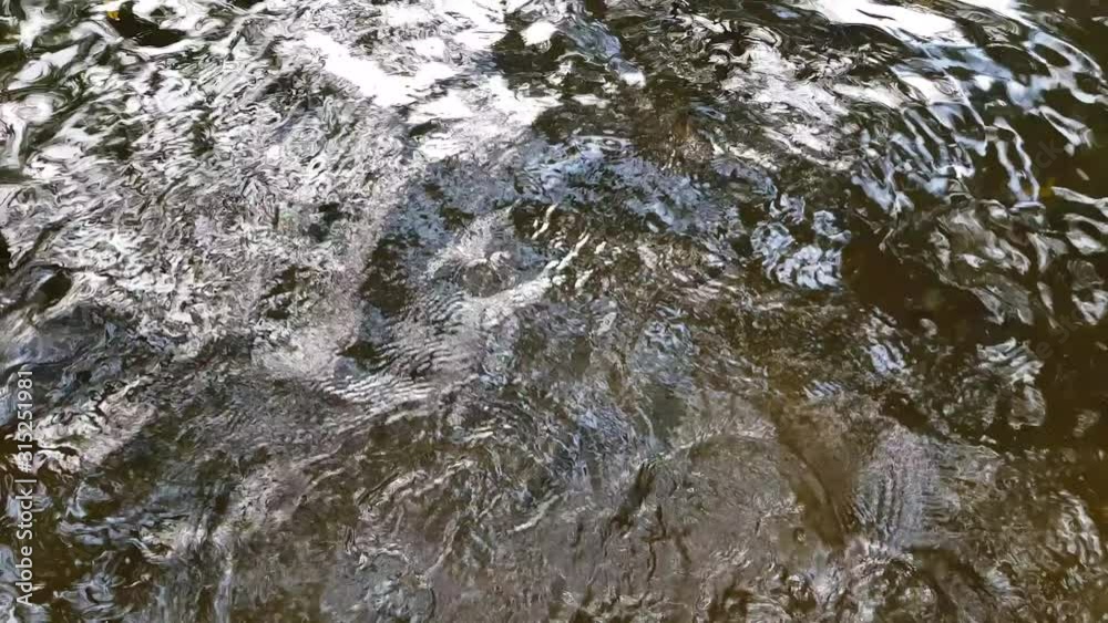 Close up to water of a dark brown color bubbling on the surface