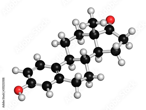 Estrone human estrogen hormone molecule photo