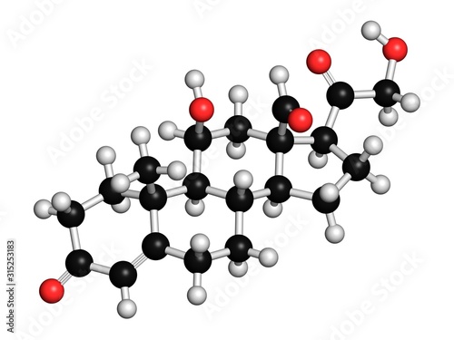 Aldosterone mineralocorticoid hormone photo