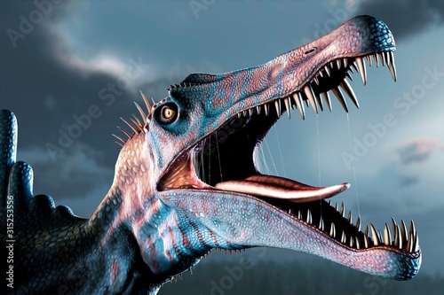 Spinosaurus Head Study photo