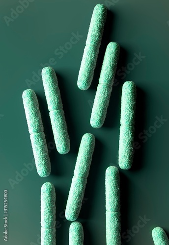 Clostridium botulinum bacteria photo