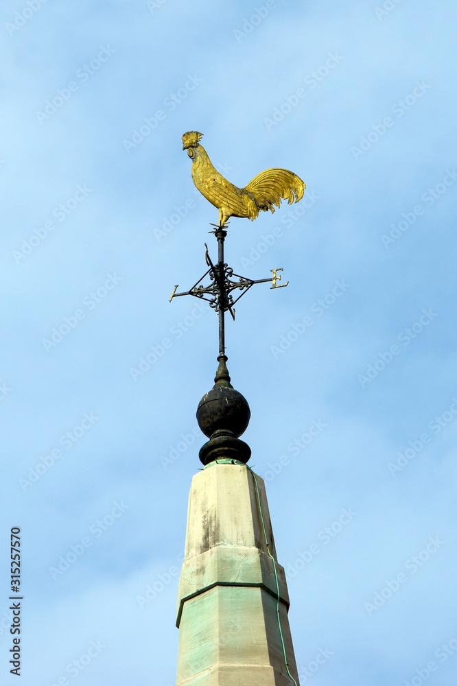 a picture of a WEATHER VANE in a shape of a rooster and directional points