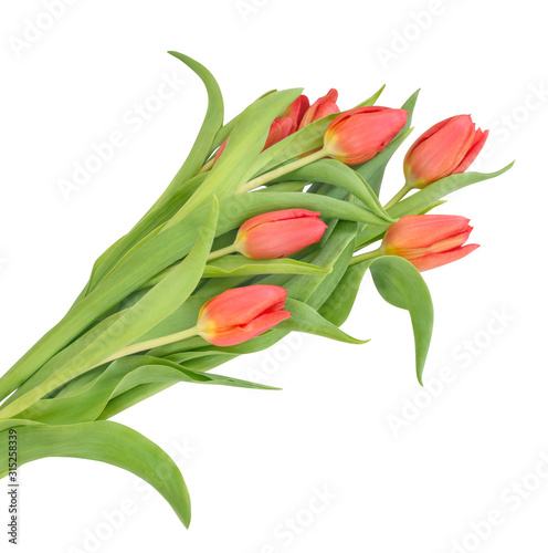 Bouquet with red buds of tulips