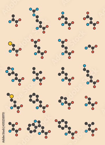 Amino acids molecules photo