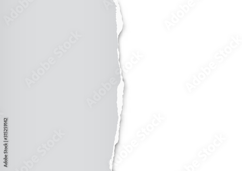 Torn paper on transparent background with space for text. Vector illustration.