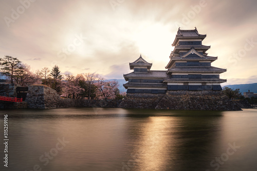 Matsumoto Castle during cherry blossom (Sakura) is one of the most famous sights in Matsumoto, Nagano, Japan. Japan tourism, history building, or tradition culture and travel concept