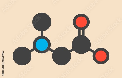 Dimethylglycine molecule