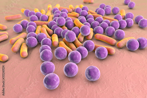 Bacteria, illustration photo