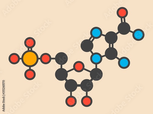 Ribonucleotide molecule