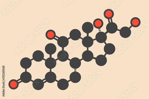 Cortisone stress hormone molecule photo