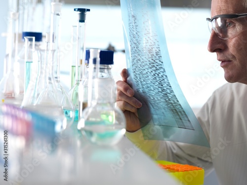 DNA Research photo