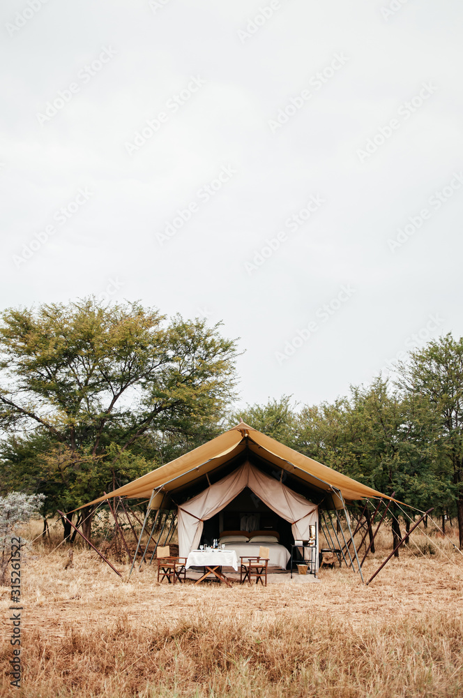 Luxury Safari tent camp in Serengeti Savanna forest - Glamping travel in Africa wild forest Luxury Safari tent camp in Serengeti Savanna forest - Glamping travel in Africa wild forest
