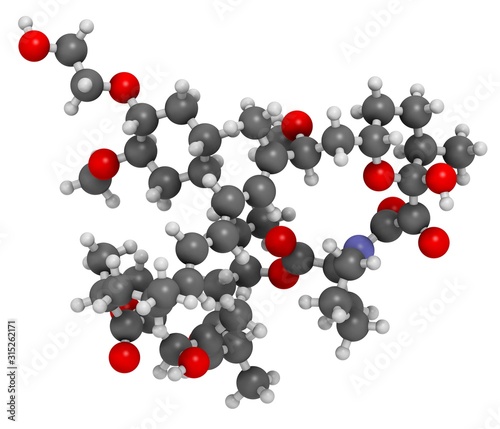 Everolimus immunosuppressant molecule photo