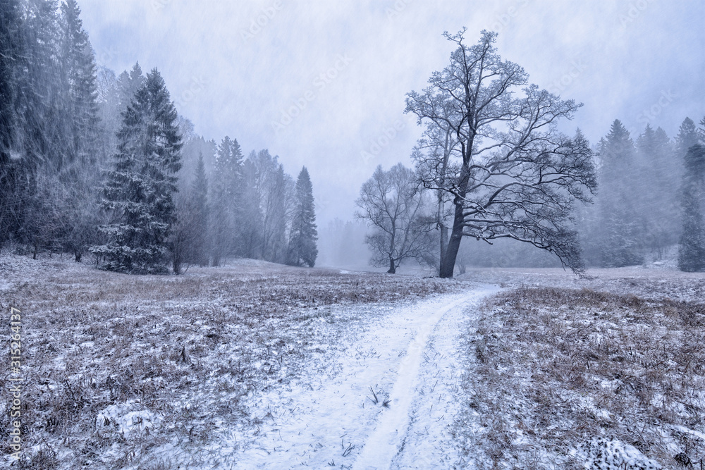 The first snow fell in the forest. The first snow fell in the forest.