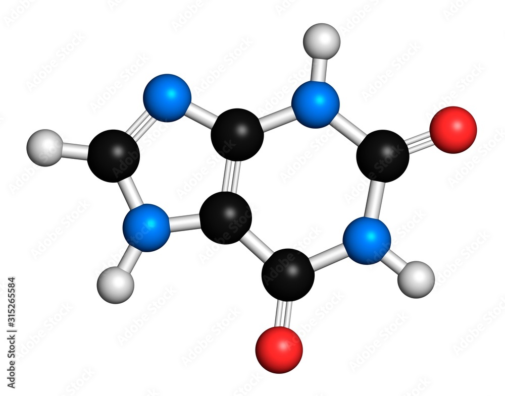 Xanthine molecule, illustration