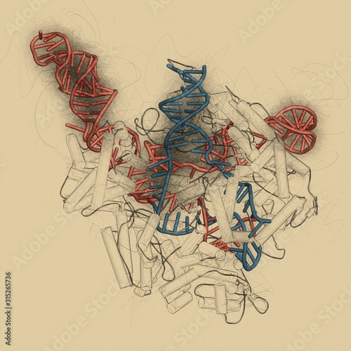 CRISPR-CAS9 gene editing, illustration photo