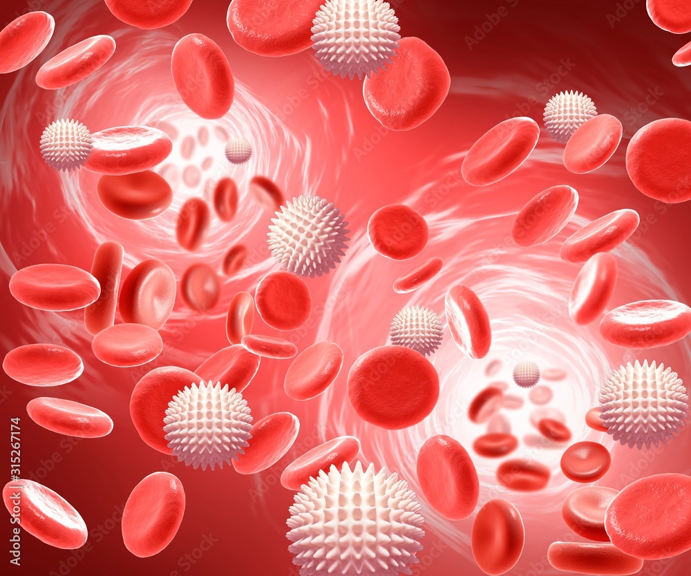 Red and white blood cells, illustration Stock Photo Biology Diagrams