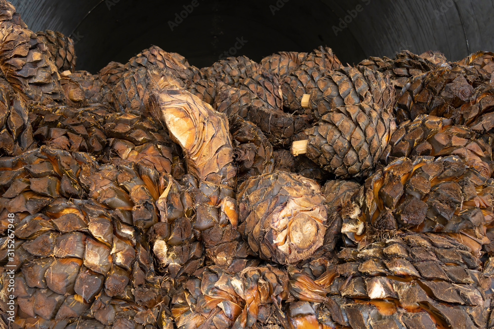 Hay mucho agave cocido dentro del horno de metal de la fabrica de