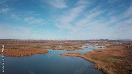 Drone aerial view of the marsh of Mittry Lake Wildlife Area on the lower Colorado River - Yuma, Arizona