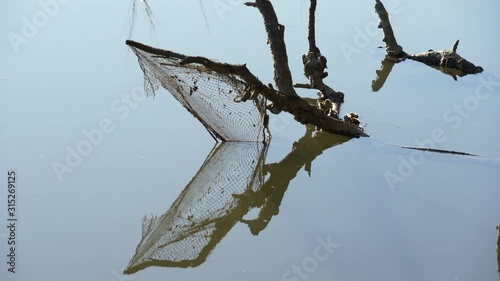 An abandoned fishing bait casting net in a tidal creek, Charleston, South Carolina. photo