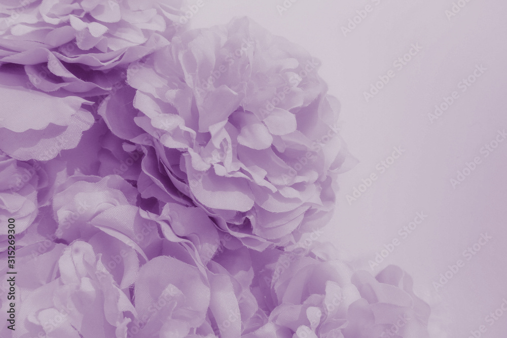light purple flowers wallpapers