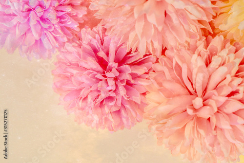 Beautiful abstract color purple and pink flowers on yellow background and white and orange flower frame and pink leaves texture, white background, colorful banner happy valentine