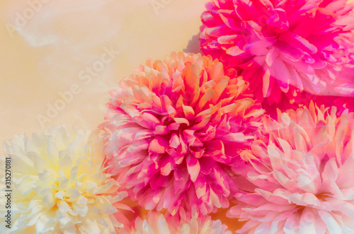 Beautiful abstract color purple and pink flowers on yellow background and white and orange flower frame and pink leaves texture  white background  colorful banner happy valentine