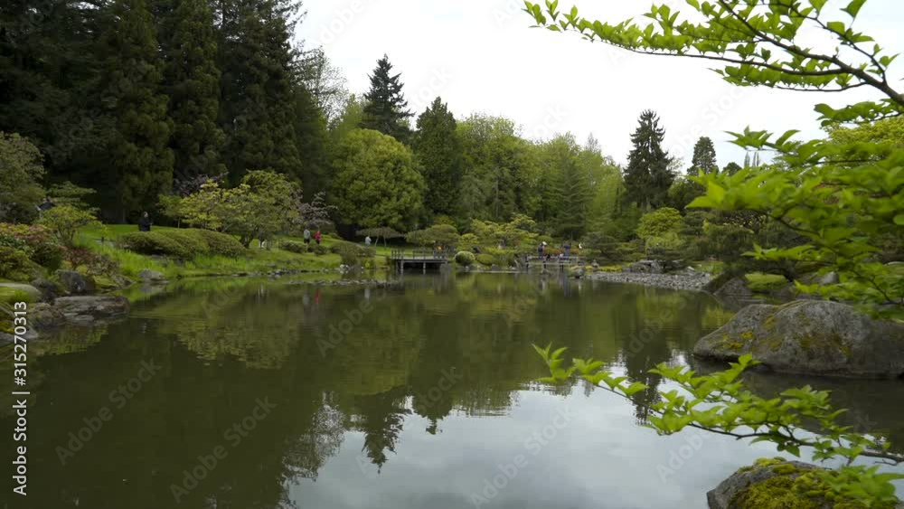 Lake in the middle of the Seattle Japanes Gardens Lake in the middle of the Seattle Japanes Gardens