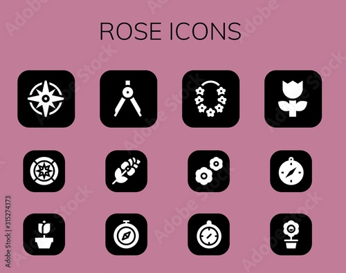 Modern Simple Set of rose Vector filled Icons